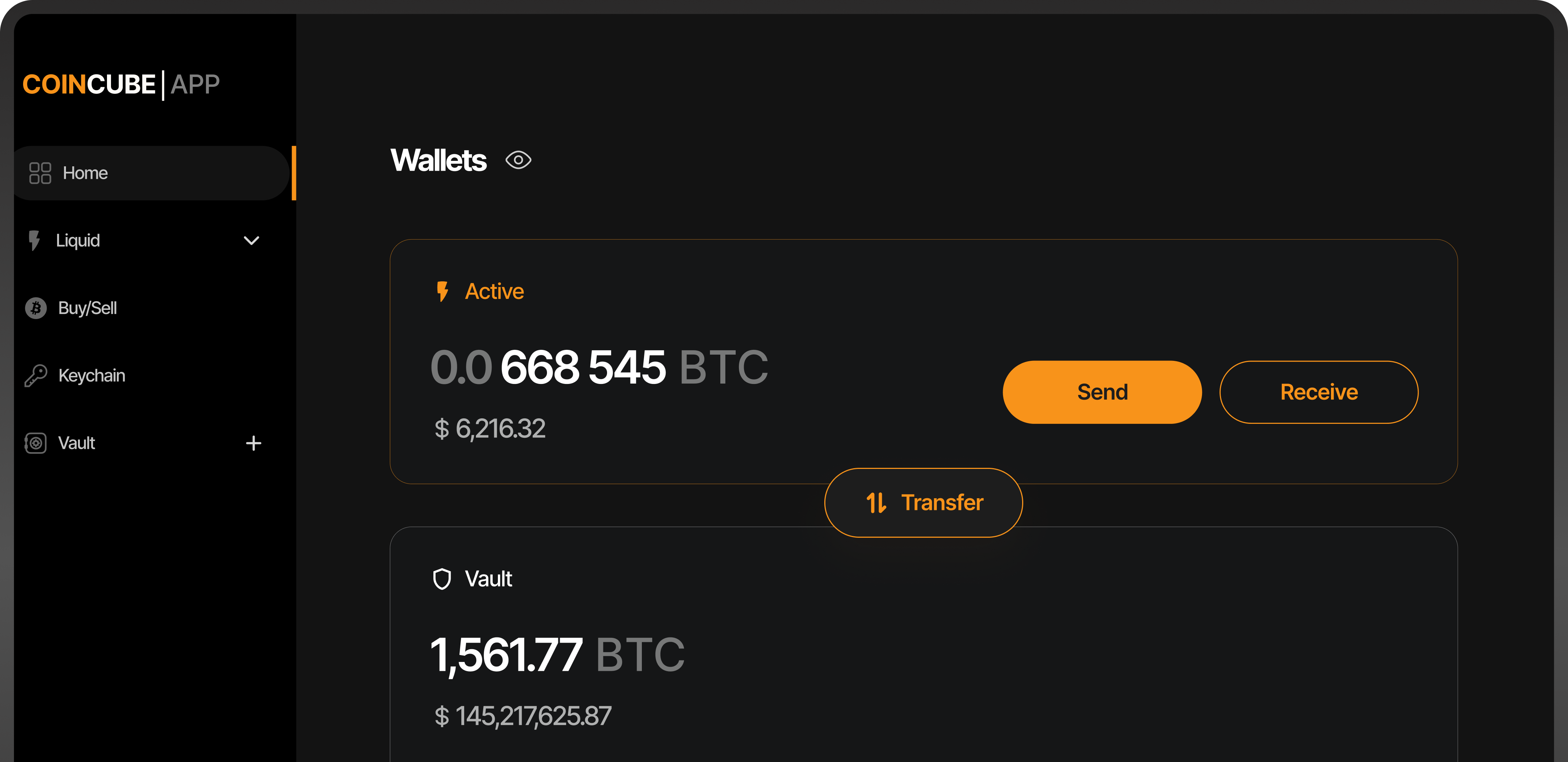 COINCUBE App Interface